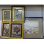 Continental School, pair of bird studies, watercolour, indistinctly signed verso and three other
