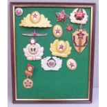 Thirteen modern Russian badges, etc.