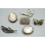 Six silver brooches including carved cameo, 39g gross