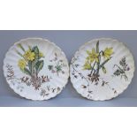Two Wild Flowers plates, S. Hancock, Stoke on Trent, circa 1880