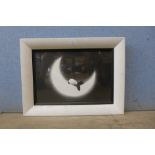 A signed Doug Hyde limited edition artist proof giclee print, Fly Me To The Moon, 27 x 40cms, framed