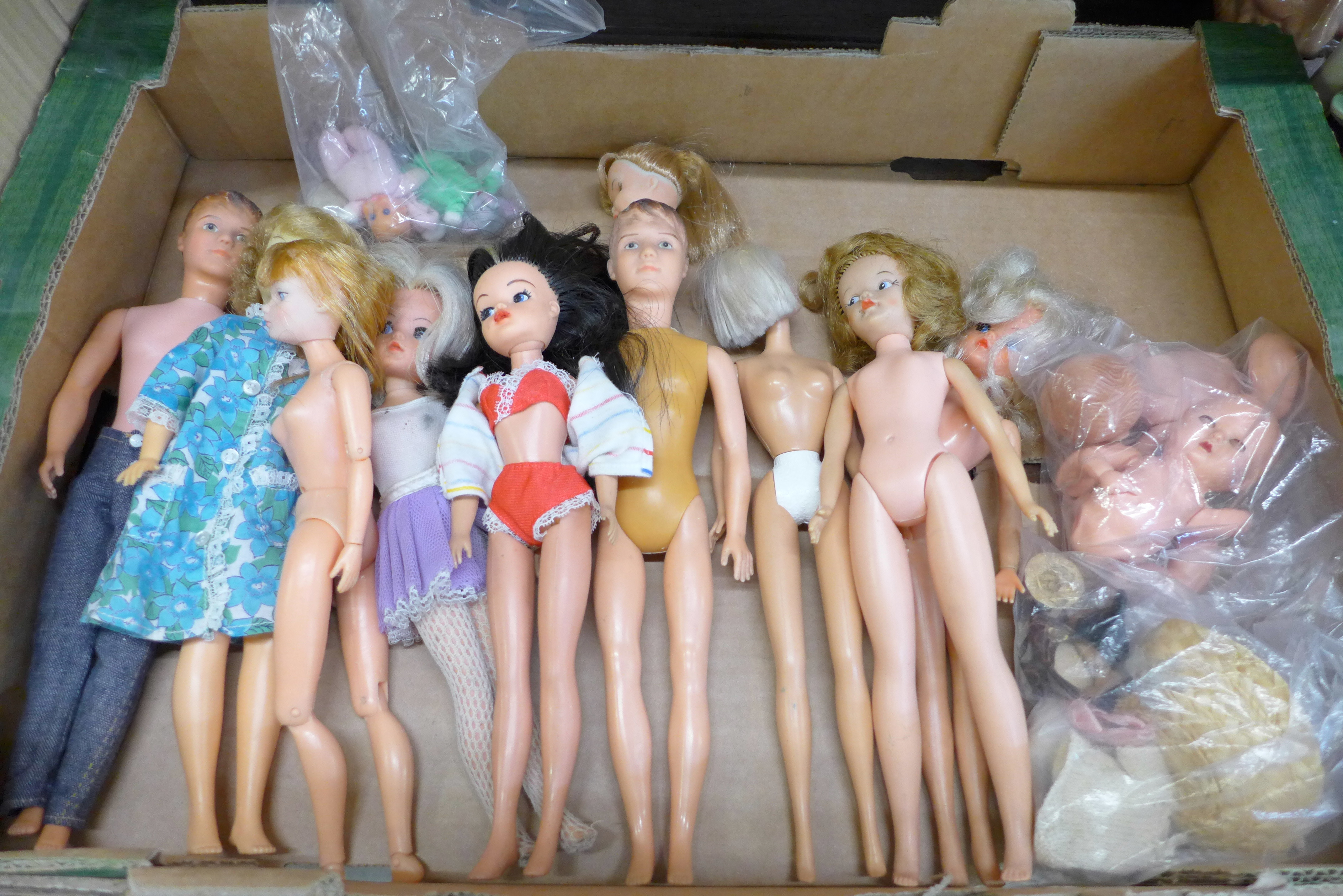 A collection of Sindy dolls and accessories