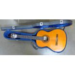 A Spanish acoustic guitar in a hard case