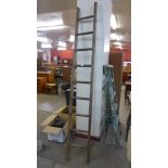 A pine fruit pickers ladder