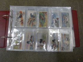 Cigarette cards:- album of cigarette and trade cards of birds, 10 sets including Players, 'Aviary