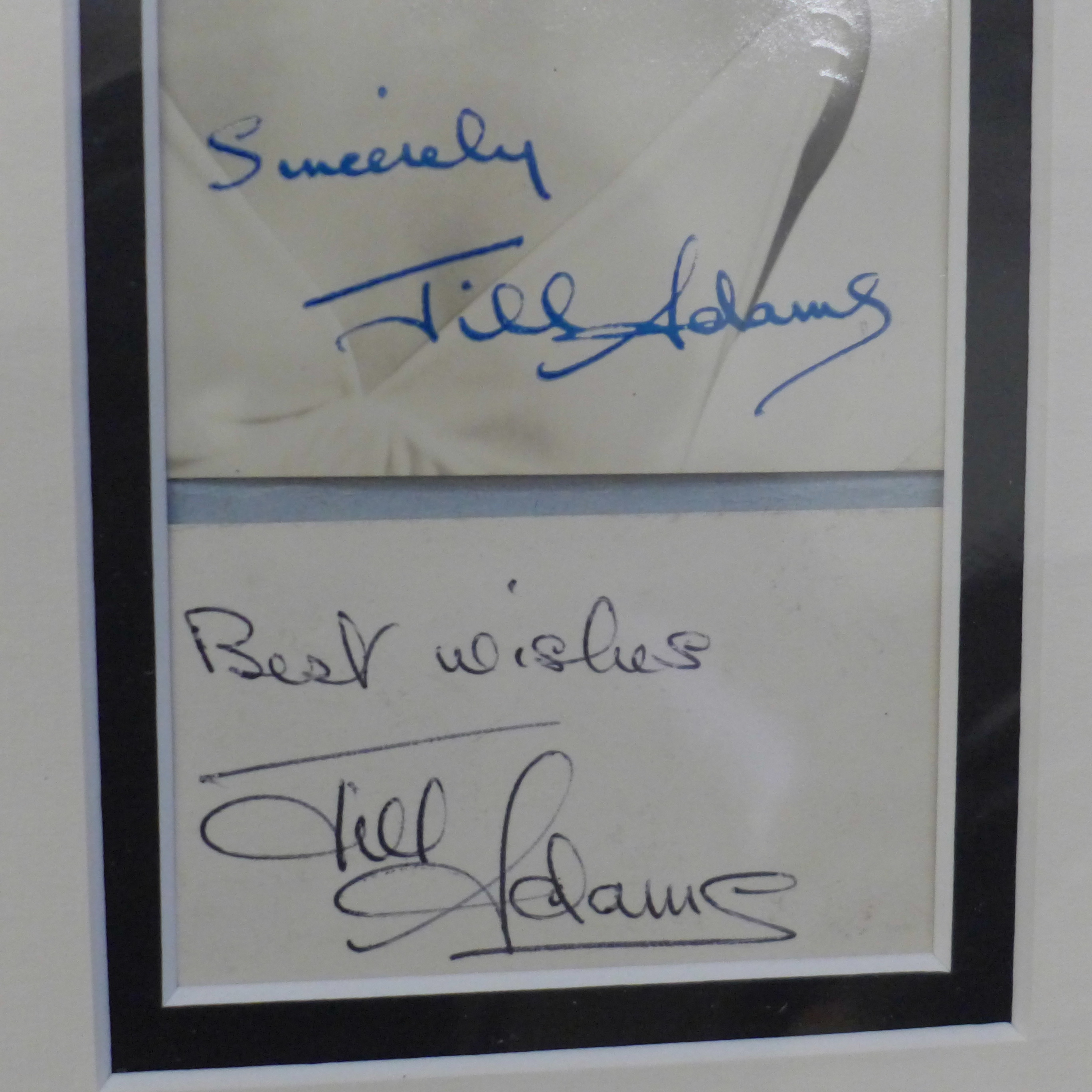 A selection of Barbara Windsor, Patsy Rowlands and Jill Adams autographed Carry On displays - Image 4 of 4