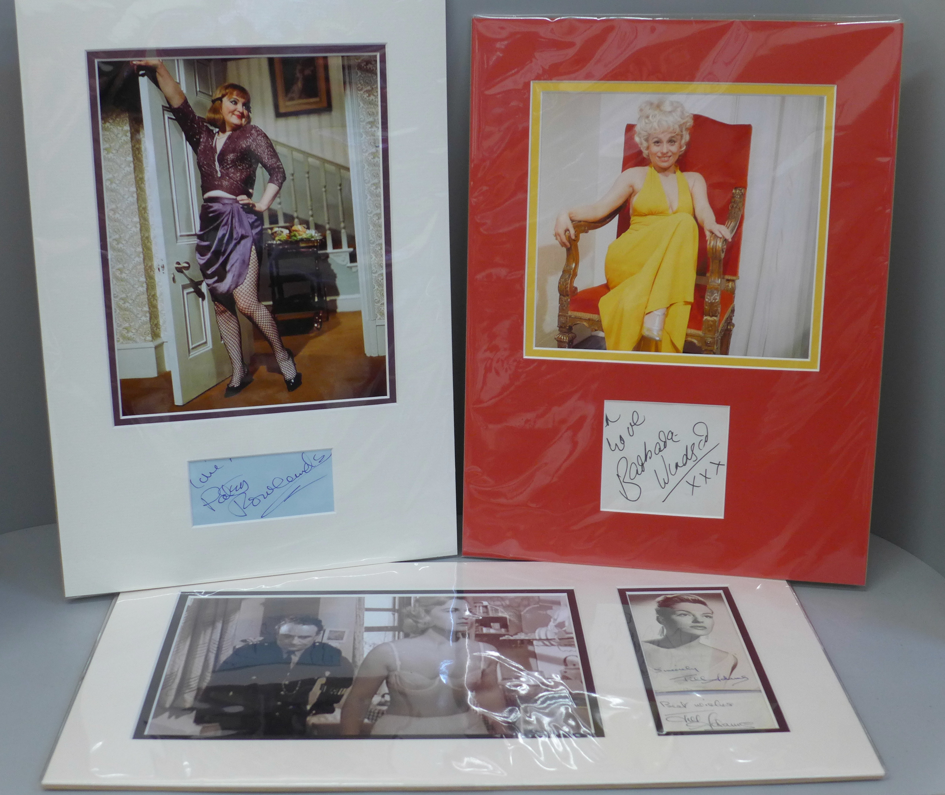 A selection of Barbara Windsor, Patsy Rowlands and Jill Adams autographed Carry On displays