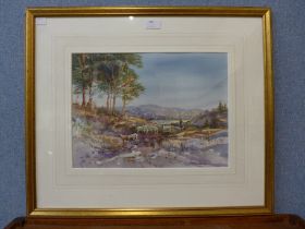 Michael Crawley, Winter, Goyt Valley, Derbyshire, watercolour, framed