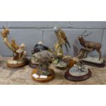 Six Border Fine Arts sculptures; Black Grouse, Little Owl, Dormice, Highland Stag, Kestrel and
