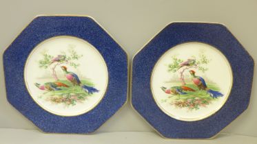 Two Wedgwood & Co. Imperial Porcelain octagonal side plates decorated with birds