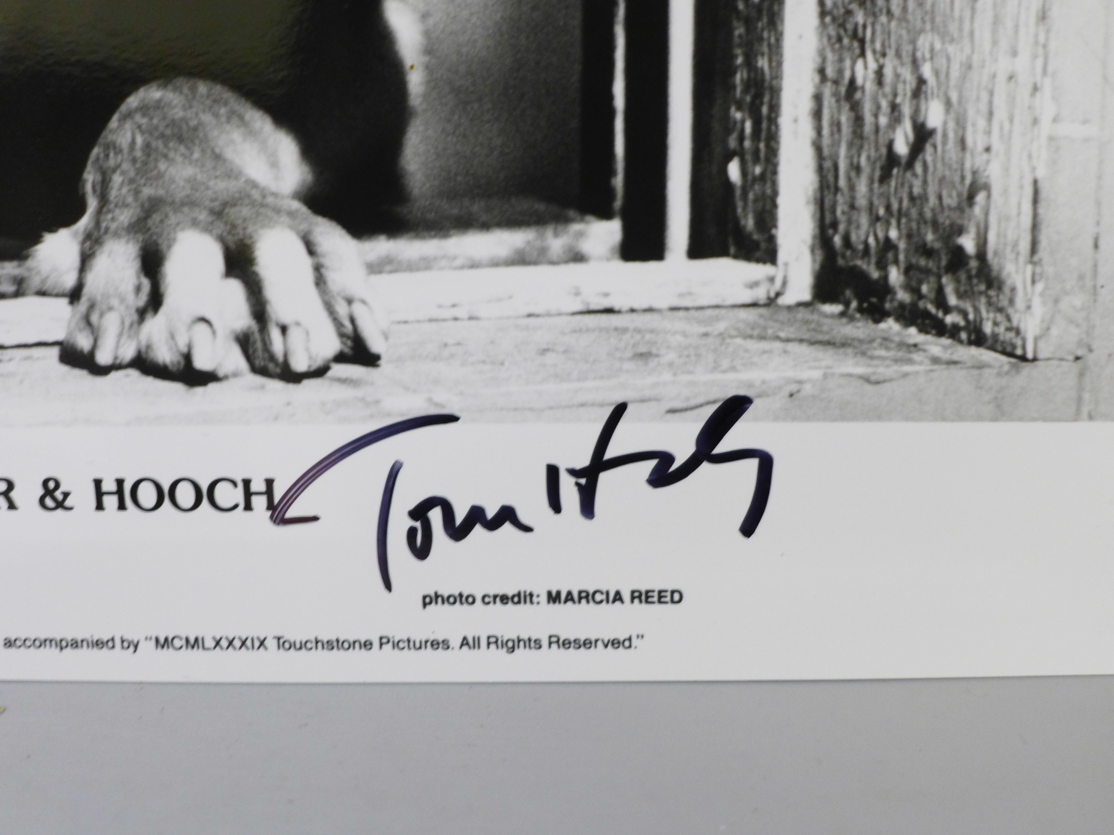 A Tom Hanks autographed Turner & Hooch lobby card - Image 2 of 3