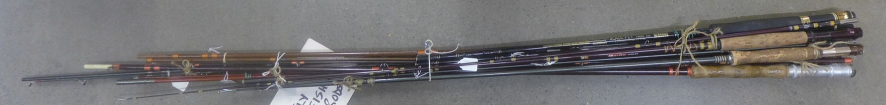 A collection of fly fishing rods