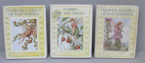 Flower Fairies of the Trees, Spring and Summer, Cicely Mary Barker, illustrated (3)