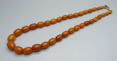 A string of butterscotch amber beads, 43g