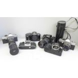 Six 35mm cameras including Rolleiflex, Praktica, Minolta and Nikon