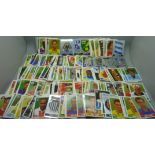 358 Panini Nationwide Football League cards