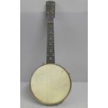 A banjo, cased