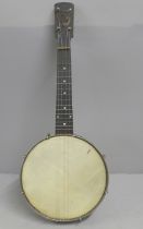 A banjo, cased