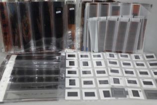 Tennis interest; approximately 2,000 35mm slides and negatives, many in strips with many action