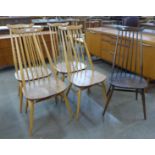 A set of four Ercol Blonde elm and beech Goldsmith chairs and a Golden Dawn Goldsmith chair