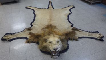 A late 19th/early 20th Century lion skin (Panthera Leo) rug with taxidermied