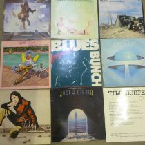 Twelve vinyl LP records and a 12" single, mainly rock, artists incude AC/DC, Steely Dan and Rush