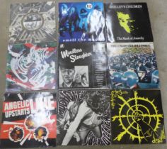 A collection of 12 LP records, all punk rock