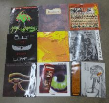 A collection of twelve LP records, all punk rock, a/f