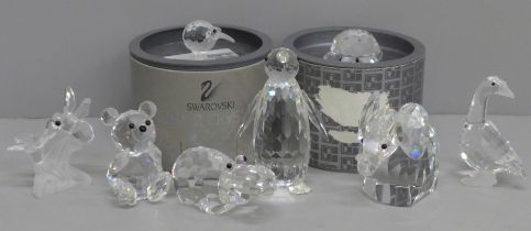 A collection of eight Swarovski animals including two boxed