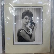 Brigitte Bardot, 12 x 7" photograph, head and shoulders portrait, taken from the original
