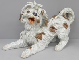 An Algora Spanish model of a Bolognese Terrier, 39cm long, 25cm tall