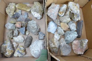 Two boxes of fossils, minerals and rocks **PLEASE NOTE THIS LOT IS NOT ELIGIBLE FOR POSTING AND