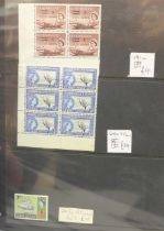 Stamps; a folder of early Queen Elizabeth II complete with unmounted mint, many in blocks with