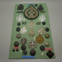 A collection of Kings Royal Rifles badges and insignia