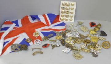 A collection of British military cap badges