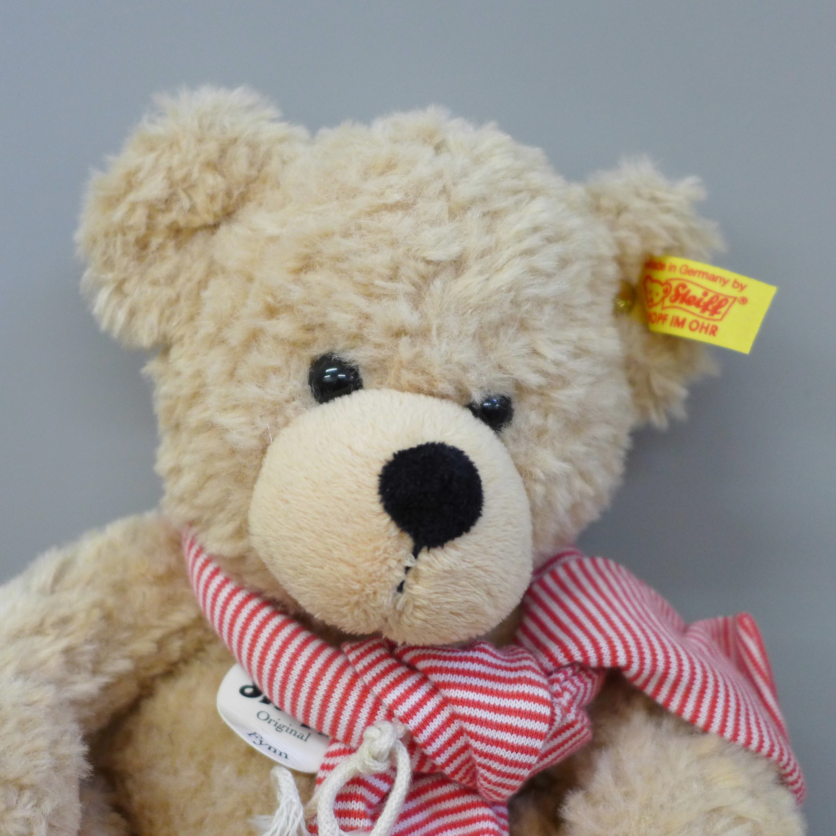 A Steiff Fynn bear in suitcase and a Deans Tearose bear - Bild 2 aus 7