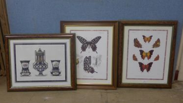 Three prints, Sevres and two Madagascar Lepidopteres, all framed