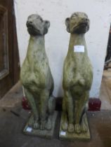 A pair of concrete garden figures of seated greyhound