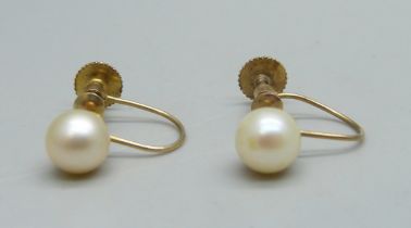 A pair of 9ct gold screw back pearl earrings, stamped 9ct, 1.5g