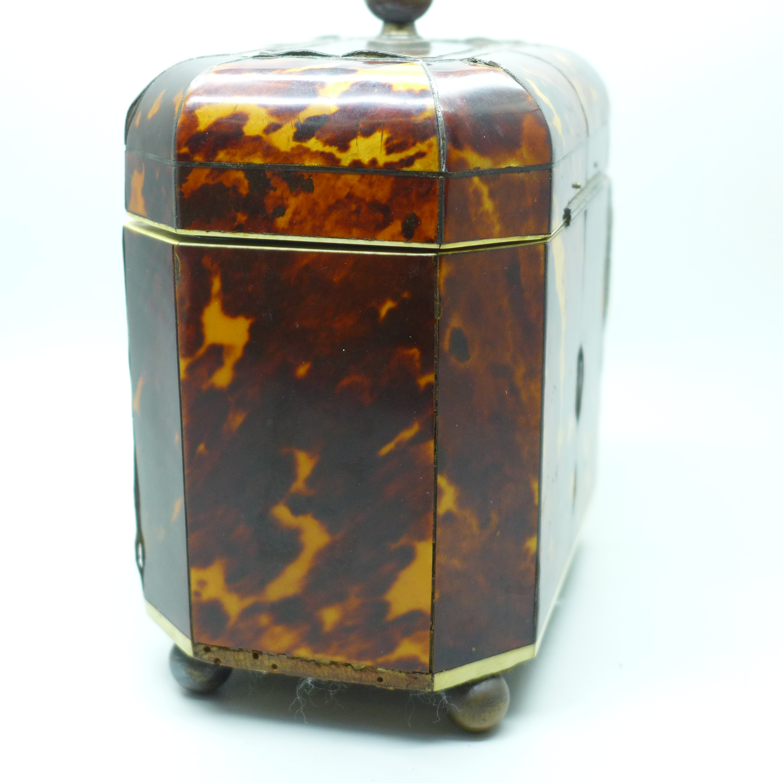 A George III tortoiseshell tea caddy. With non-transferable Standard Ivory Exemption Declaration, - Image 7 of 10