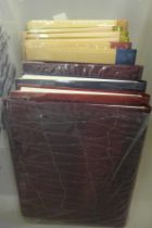 Elvis Presley; eleven albums of portraits of Elvis and Elvis artefacts **PLEASE NOTE THIS LOT IS NOT