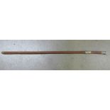 A circa 1900 sword stick