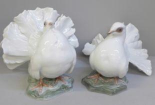 A pair of Rosenthal Germany turtle doves, 1589 and 1590