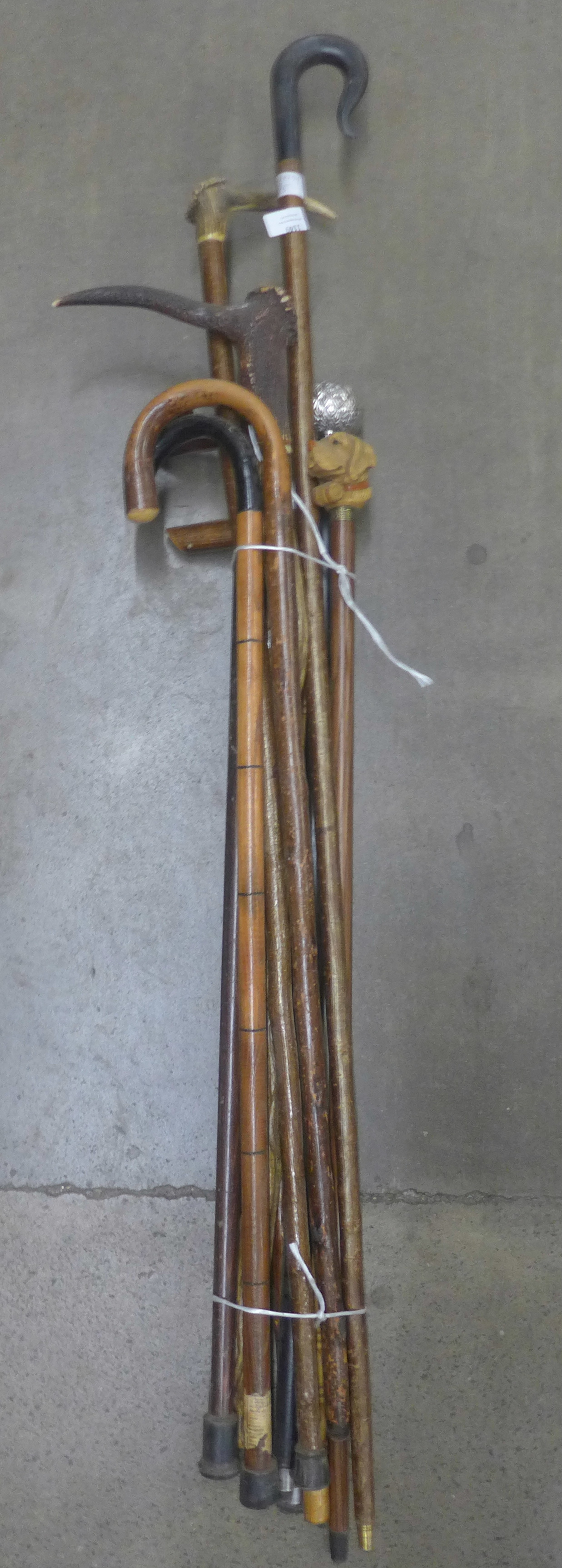 A collection of ten walking sticks **PLEASE NOTE THIS LOT IS NOT ELIGIBLE FOR POSTING AND PACKING**