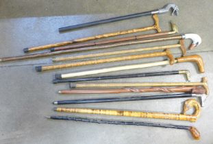 A collection of thirteen walking sticks