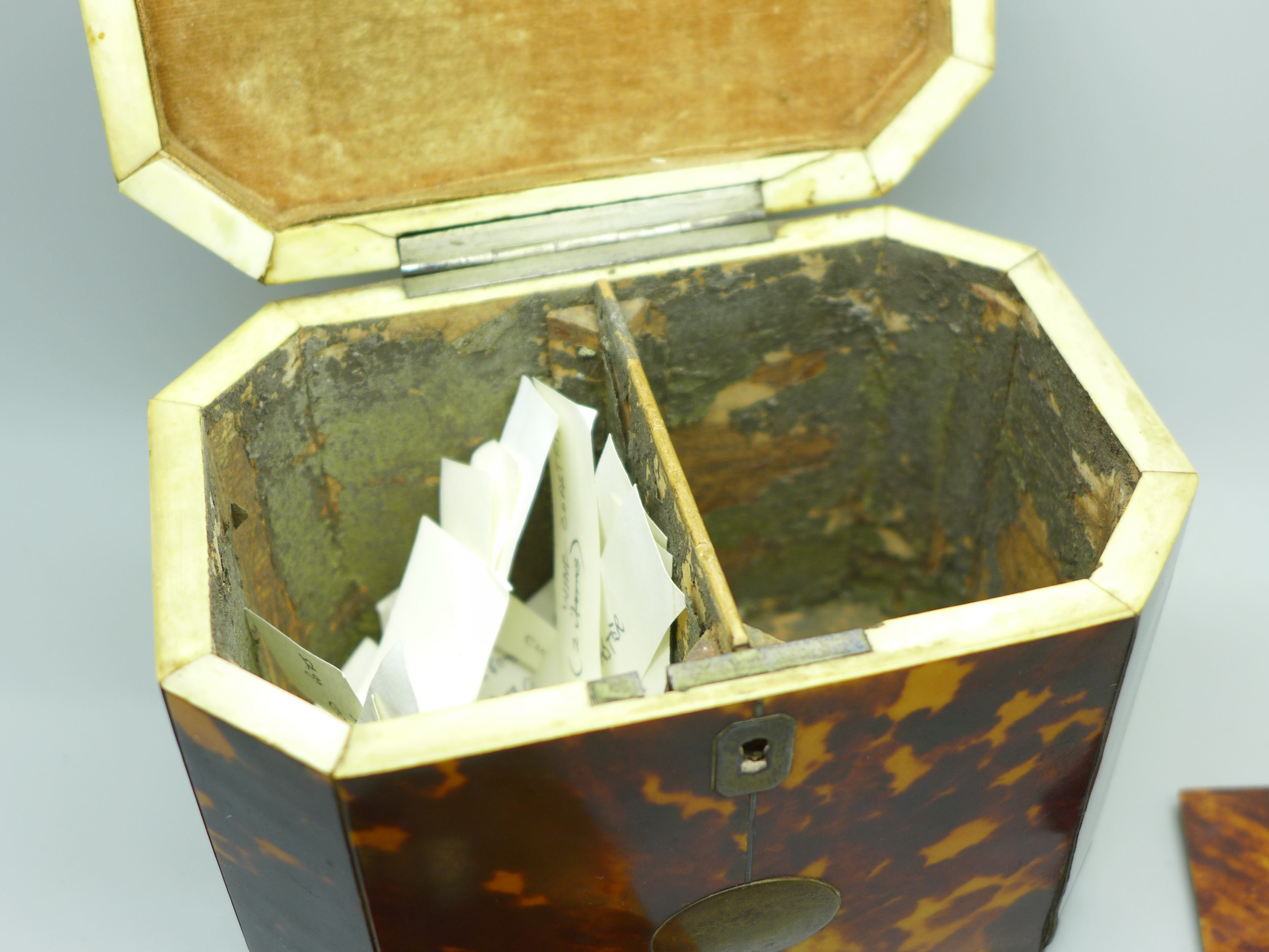 A George III tortoiseshell tea caddy. With non-transferable Standard Ivory Exemption Declaration, - Image 4 of 10
