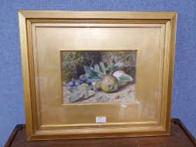 R.P. Richards (late19th/early 20th Century), still life of fruit, watercolour, framed