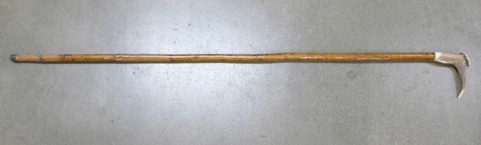 A walking stick with antler handle