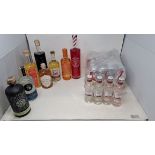 Eight bottles of assorted Gins to include Mayfield, Wensleydale, Silent Pool and twenty four bottles