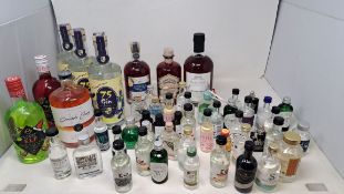 Nine bottles of assorted Gin to include Stoke Edith, Chocolate Orange Gin Liqueur, Manchester Drinks